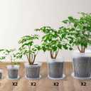 Large Clear Nursery pots for Plants with Saucers,10 pcs 9.5/8.3/7/6/5 inch Thick Plastic Nursery pots for Plants with Drainage Holes for Monstera,Aroid