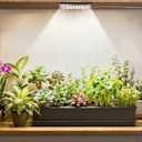 Stick-On Under Cabinet Grow Lights with Timer, High PPFD Sun-Like Full Spectrum LED Puck Light for Indoor Plants, Succulents, Mini Spotlight for Shelves, Terrarium & Display Case (3500K Warm White) (Single-Head: 60-LED Grow Lamp)