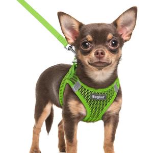 Eagloo Small Dog Harness and Leash Set, Step in Puppy Vest with Breathable Soft Mesh, Walking Reflective Pet Harness for Extra Small Dogs, Green, XXS (XXS(Chest:12.4"-14.2"))
