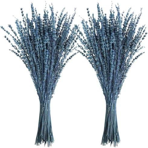 Uieke Dried Lavender Flowers, 16" Preserved Dried Lavender Bundles Blue Flowers Stems Bouquet for Shower Weeding Home Fragrance Vase Crafts Decor, 100g(3.52oz)