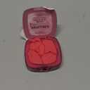 L'Oreal Paris Infallible Up to 24H Fresh Wear Soft Matte Blush, Blendable, Long Lasting and Waterproof Cheek Make Up, Fearless Coral 05, 0.31 Oz