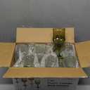 XUWAIDSGN 24 Pcs 7oz Plastic Vintage Wine Glasses Drinking Glasses Unbreakable Wedding Glassware Crystal Water Goblets Reusable Drinkware Vintage Champagne Flutes (24, Dark Green)