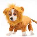 Rypet Dog Lion Costume Pet Clothes for Halloween Party Simulation Lion Pets Outfits Cosplay Dress up Clothes Pet Lions Hoodie Cat Costume for Party, Size S