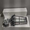 Large Hanging Porch Light 12.4 Inch Dusk to Dawn Outdoor Pendant Light with Water Ripple Glass Waterproof Outdoor Hanging Lantern Light with Adjustable Chain E26 Socket (Black)