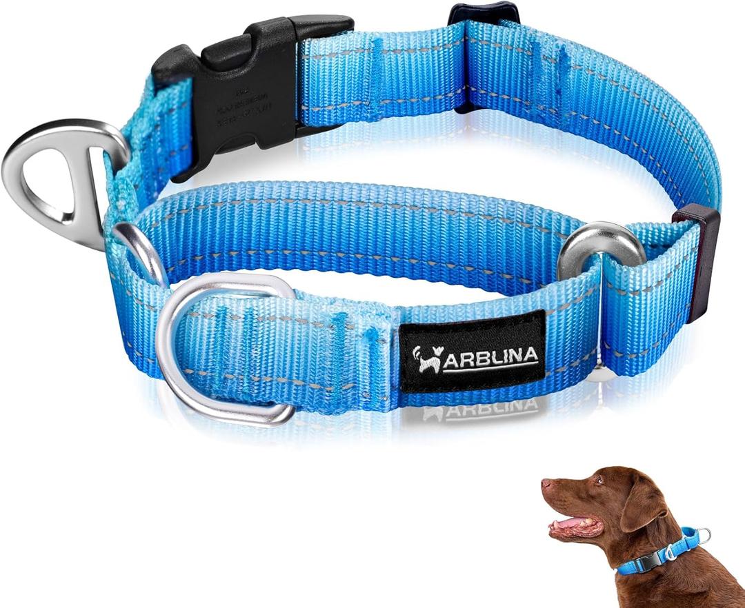 Arblina Martingale Collar for Dogs Large  Heavy Duty Buckle Dog Collar with Tag Ring Reflective Nylon Gradient Dog Collar No Pull Training Collar, L