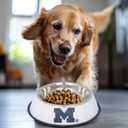 The Memory Company | Licensed NCAA Bling Team Logo Stainless Pet Bowl