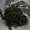 Palonu 1Pcs 6Ft Christmas Cedar Garland, Artificial Realistic Greenery Faux Garlands Touch Like Real Cypress Pine Xmas Dcor, Fireplace Mantle Table Stairs Porch Indoor Outdoor Holiday Decoration