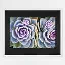 MCS 24x30 Puzzle Frame for Finished Puzzles, White Vertical & Horizontal Wall-Mounted Large Picture Display for Preservation (1-Pack)