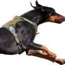 BUMBIN Tactical Dog Harness for Large Dogs, No Pull, Reflective, Green, L(Neck:19-25", Chest:21-35")
