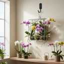 Staghorn Fern Mount Kit - Rustproof 304 Stainless Steel Vertical Hanging Basket for Orchids & Outdoor Plants, Wall Planter Holder Indoor Garden (10.6 x 10.2 x 1.96 Inch)