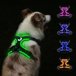 Taglory Light Up Dog Harness, Rechargeable No Pull Dog Vest with 3 Lightning Modes, Reflective Dog Harness with 2 Leash Clips & 4 Adjustable Slide Strips for Large Dogs, Turquoise-Green, L