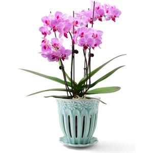 5" Ceramic Orchid Pot with Holes | Crackle Glazed Pot with Drainage and Separate Saucer | Ideal Plant Pot for Repotting Orchids and Other Flowers (Blue) (Round)