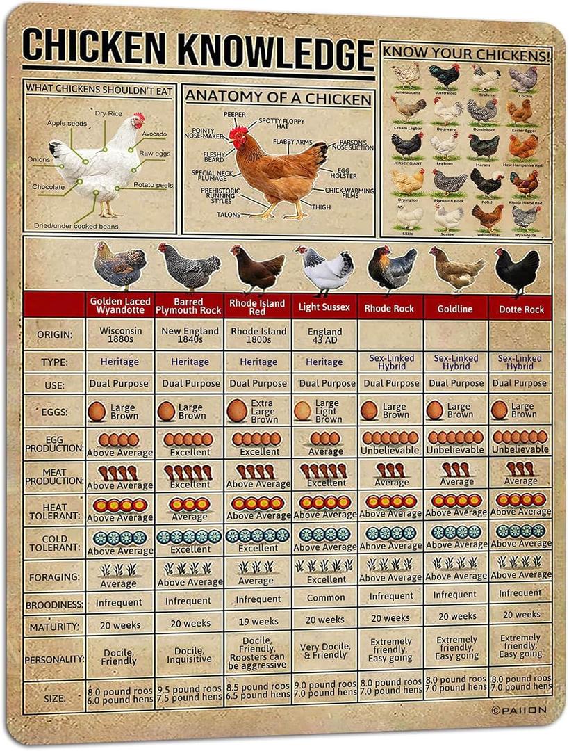 PAIION Metal Tin Signs Chicken Knowledge Detail About Chicken for Farmer for Friends Music Vintage Home Bathroom Cottage Farm Wall Decor 16x12 Inch
