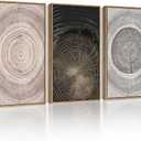 PHOPAGO Vintage Wood Tree Rings Wall Art 16x24in Farmhouse Rustic Framed Canvas Paintings Living Room Bedroom Decor Nature Artwork Natural Framed