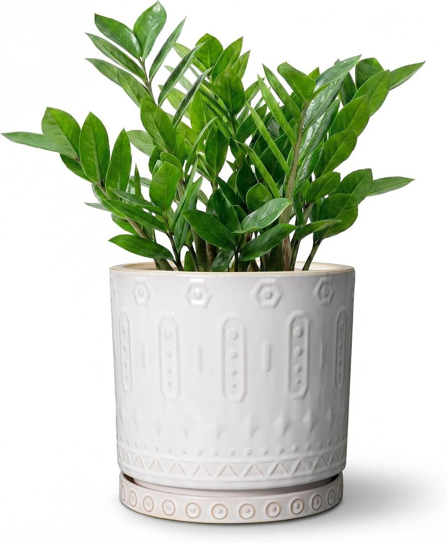 Eightpot 8 Inch Plant Pot, Ceramic Planter for Indoor Plants Outdoor, Round Planter with Drainage Hole and Tray, Boho Flower Pot, Decorative Pots for Plants, Home Decor, Plant Lover Gifts, White