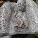 Garvee Bean Bag Chairs for Adults, Faux Fur Bean Bag Chair with Filler, Soft Plush Living Room Beanbag Chair Armrest Bean Bag Couch, Fluffy Couch Lazy Sofa Chair for Reading, Coffee