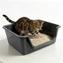 Low Entry Litter Box for Senior Cats High Sided Large Litter Box