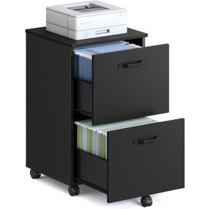 VASAGLE 2-Drawer File Cabinet, Small Rolling Filing Cabinet for Home Office, Printer Stand, for A4, Letter-Size Documents, 15.7 x 16.5 x 27.6 Inches, Ink Black UOFC040B16