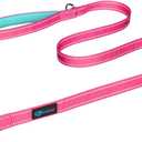 PHOEPET 5 Feet Dog Leash with Comfortable Padded Handle Easy Snap Clasp - Reflective Walking Lead for Large, Medium & Small Breed Dogs (Pink + Mint Green Base) (L(Width: 1"))
