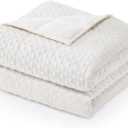 Wemore Minky Dot Weighted Blanket for Adults Queen Size 15 lbs, Soft Heavy Blanket for Stress Relief and Sleep Promotion, Breathable Blanket for All-Season with Glass Beads, White 60 x 80 inches