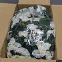HyeFlora Artificial Faux Hanging White Flowers Plants Basket for Outdoor Outside Christmas Winter Decor, Fake UV Resistant Realistic Morning Glory Flowers for Porch Home Balcony Yard Patio Decoration