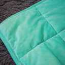 ALANSMA Reversible Weighted Blanket for All Season, Luxury Velvet, Warm and Cool, Adult 20Lb Green Weighted Blanket, Enjoy Sleeping Anywhere(Light Green,60"x80" 20lbs)