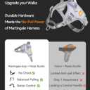 DF No Pull Step-in Martingale Dog Harness, Help Stop Pulling & Choking, Reflective & Adjustable, Front Clip Harness with Lift Handle, Tactical Silent Metal Buckle, Gray, 3/4", Front Chest 13.2"-16.0"