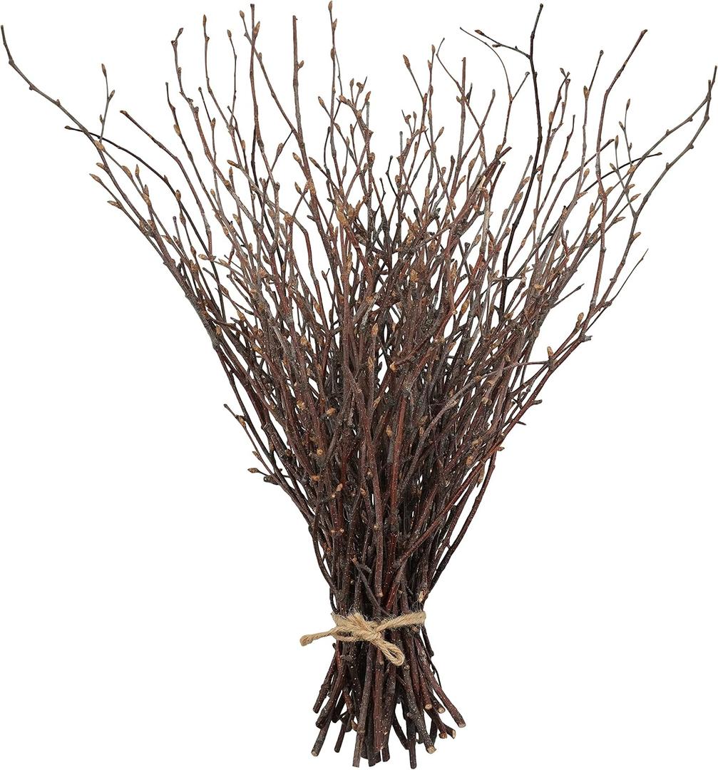 Uieke 50PCS Birch Twigs 17 Inch Natural Dried Plants Decorative Birch Branches for DIY Crafts, Birch Sticks for Vases Wedding Arrangements Home Wreath Decor