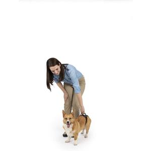 PetSafe CareLift Rear Support Harness - Senior & Disabled Dog Rear Mobility Support - Easy-Fitting, Breathable Belly Straps with Lifting Aid Handle - for Small Dogs 7-35 lb (Small (Pack of 1))