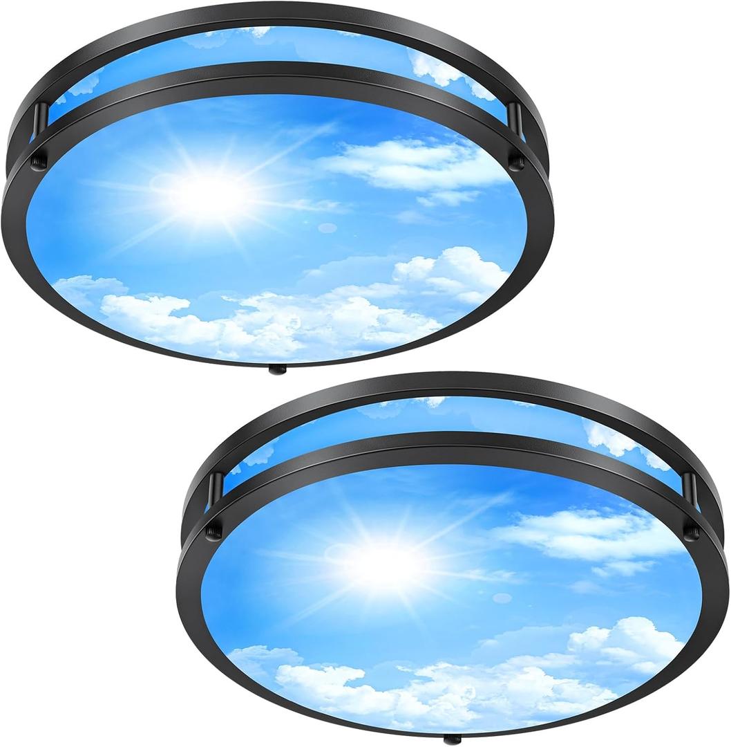 2 Pack 24W LED Ceiling Lights for Office Hallway Bedroom, 12 Inch Dimmable Flush Mount LED Ceiling Light Fixture, 6500K/5000K/4000K/3500K/3000K Adjusted Modern Lamps (Cloud Blue Sky Cover) (Black)