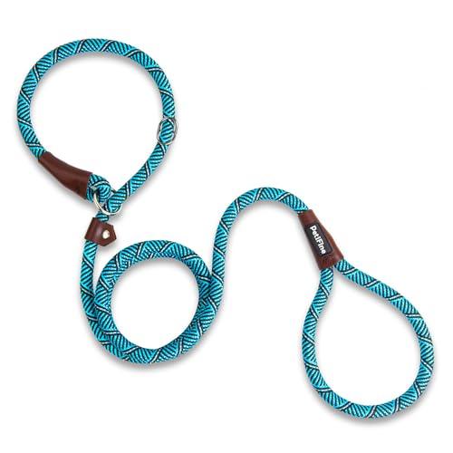 PetiFine Slip Lead Dog Leash,6FT x 1/2" Reflective Durable Dog Training Lead, Heavy Duty Adjustable Nylon Dog Rope Slip Leash for Small Medium Large Dogs (Blue)
