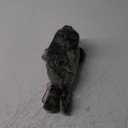 Douglas Speckles Monk Seal Plush Stuffed Animal