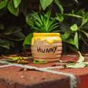 Silver Buffalo Disney Winnie The Pooh Hunny Pot 3-Inch Ceramic Mini Planter with Artificial Succulent | Small Flower Pot, Faux Indoor Plants for Desk Shelf, Home Decor Trinket Tray and Collectibles