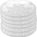 6 Pack 12 Inch Heavy Duty Clear Plastic Plant Saucer Sturdy Pot Tray Plant Drip Trays for pots,Plant Water Catcher Tray,Flower Pot Saucer Water Drainage Tray Floor Protector (12 Inch)