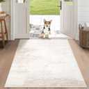 Area Rug 3x5 Washable Rug: Living Room Modern Abstract Rug Soft Non Slip Neutral Rugs Stain Resistant Small Rug Indoor Door Mat for Bedroom Kitchen Nursery Hallway Entryway Office(Beige,3'x5')
