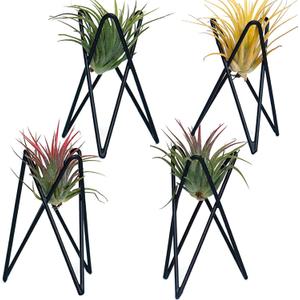 Pack of 4 Air Plant Holder Tillandsia Base, Modern Geometric Metal Air Plant Stand Airplant Display Rack, Tabletop Big Streptophylla Plant Display Table Hand for Home Office Decoration Supplies