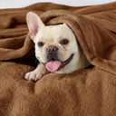 Bedsure GentleSoft Brown Throw Blanket for Couch - 300GSM Soft Cozy Fleece Blankets for Home Decor Gifts, 50x60 Inches