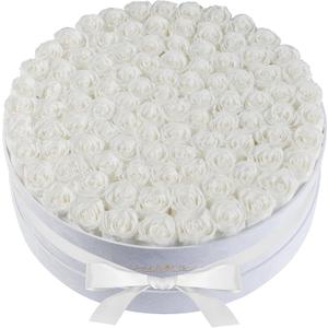 Luxury Preserved Roses Gifts for Women, 100 Roses in Velvet Box, Flowers for Delivery, Presereved Flowers Birthday Gifts for Mom and Wife (White)