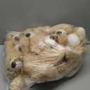 MaoGoLan 7Pcs Bulk Teddy Bears Stuffed Animals Baby Shower, Soft Small Stuffed Bears in Bulk, 13.5" Cuddly Mini Teddy Bears Centerpiece, Wedding, Party, Engagement (Tan)