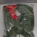 24" Norfolk Pine Wreath, Artificial Christmas Wreaths, Real Touch Green Winter Garland for Front Door Wall Indoor Outdoor Christmas Holiday Decor, with Bow & Bell, FF12