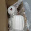 Woration High-Grade Fake Pumpkins Sets Artificial Milk White Pumpkin Decoration for Fall Harvest Halloween Thanksgiving Party Decorating - 6 pcs