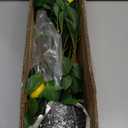 2Ft Artificial Lemon Trees, 2 Packs Large Artificial Plants Indoor with Black Pots Faux Potted Citrus Trees Fake Floor Plants Lemon Decorations for Home Living Room Office, Bedroom Table, Desk