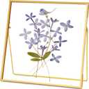 REDHUGO Double Glass Frame for Pressed Flowers Handmade, Tabletop Photo Frame for Floating Picture and Flower Press, Simple, Metal Geometric, Square, Gold, 6x6 Inches