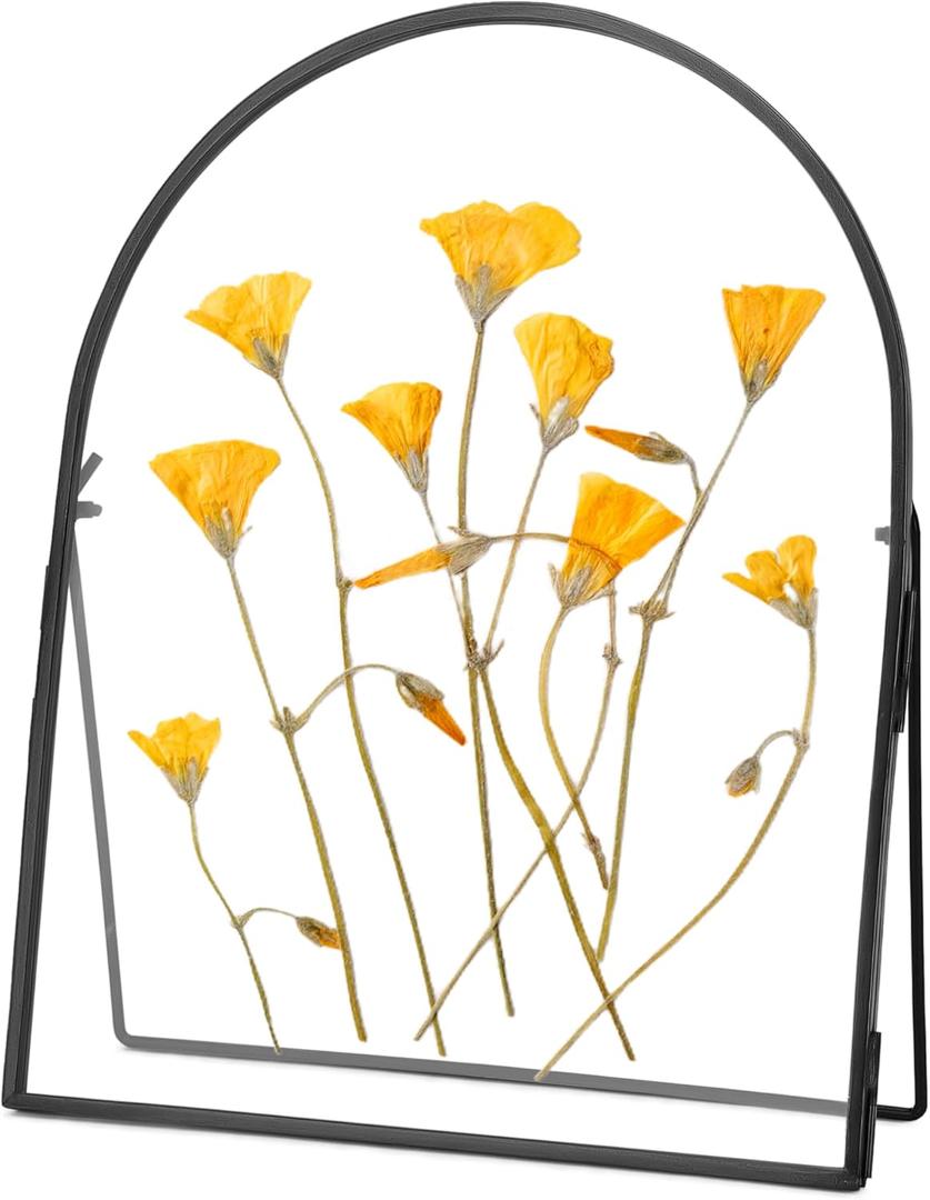 Double Glass Frame for Pressed Flowers Handmade, Metal Floating Picture Frame for Pressed Flower, Tabletop Display, Brass, ArcShaped, Black, 8x10 inches (FRAME ONLY) (8L" x 10W")