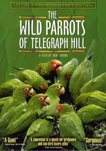 The Wild Parrots of Telegraph Hill (Special Two-Disc Collector's Edition)