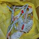 2025 New Human Skeleton Model, Medical Anatomical Life Size Skeleton Replica with Spinal Nerves, Muscle Insertion and Origin Points,Joint Ligaments,Includes Rolling Stand,for Doctors, Students