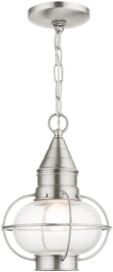 Livex Lighting, 26910-91, Newburyport, Medium Outdoor Pendant Lantern, Brushed Nickel