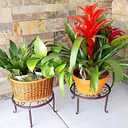 6 Pack 9.45 x 5.12 Inch Bronze Metal Plant Stands for Flower Pots, Retro Style Heavy Duty Potted Holder, Indoor Outdoor Metal Rustproof Iron Garden Container Round Support Rack for Planter