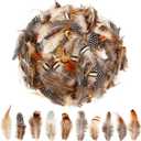 SendyFeather 200pcs 10 Style Natural Feathers Assorted Mixed Feathers for Dream Catcher Crafts DIY Decoration