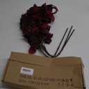 3PCS Artificial Fall Leaf Stems Autumn Leaves Fake Fagus Sylvatica Folige Burgundy Faux Beech Leaf Branch, Long Stems for Floral Arrangements Autumn Decoration